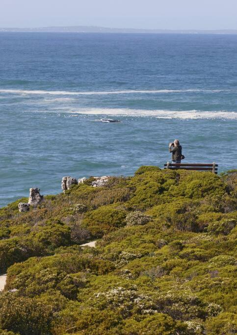 Heartwood Cottage Hermanus Zewnętrze zdjęcie