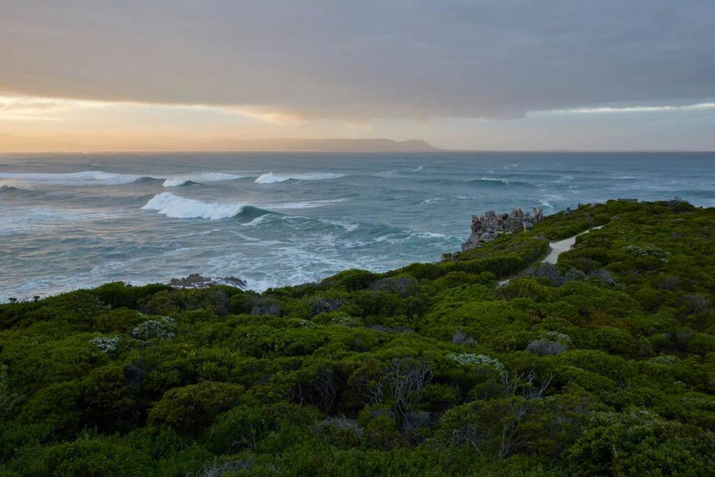 Heartwood Cottage Hermanus Zewnętrze zdjęcie